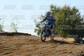 71 · DSH_2919
