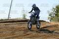71 · DSH_2921