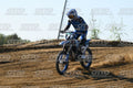 71 · DSH_2923