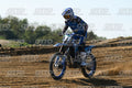 71 · DSH_2926