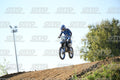 71 · DSH_2966