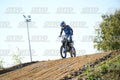 71 · DSH_2968