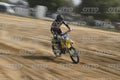 18 · DSH_2977