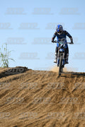 71 · DSH_2987