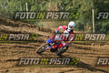 721 · DSH_2988