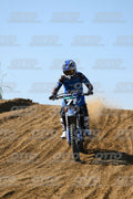 71 · DSH_2989