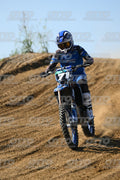 71 · DSH_2991