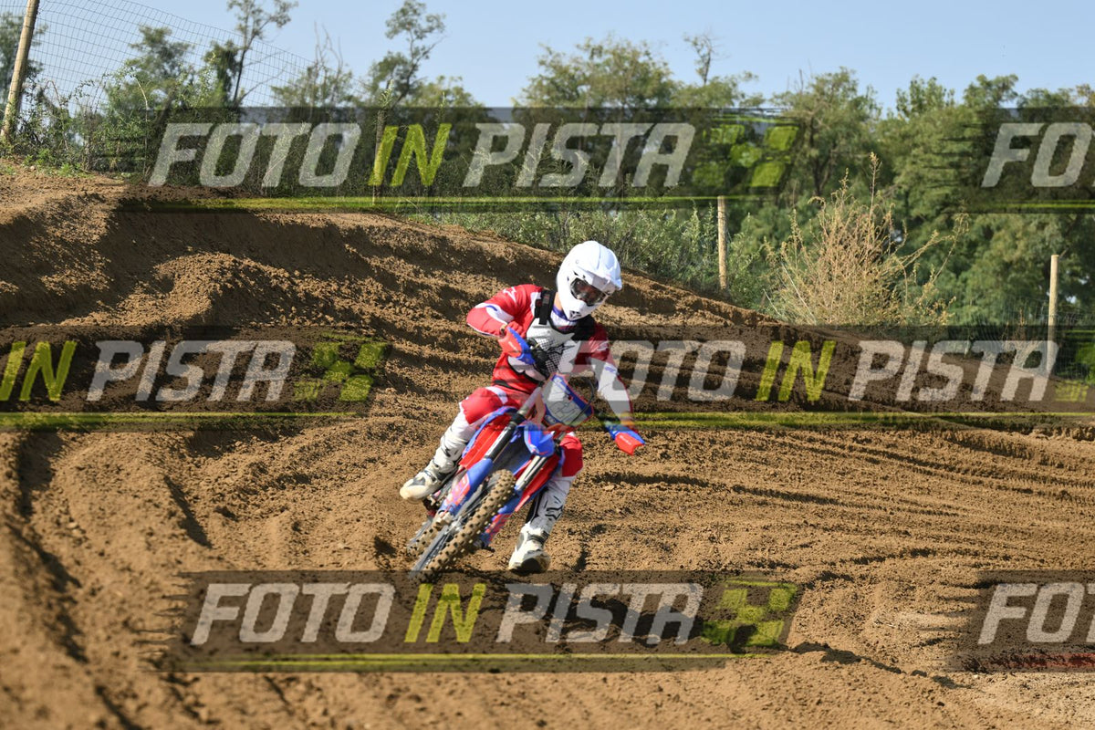 721 · DSH_2996