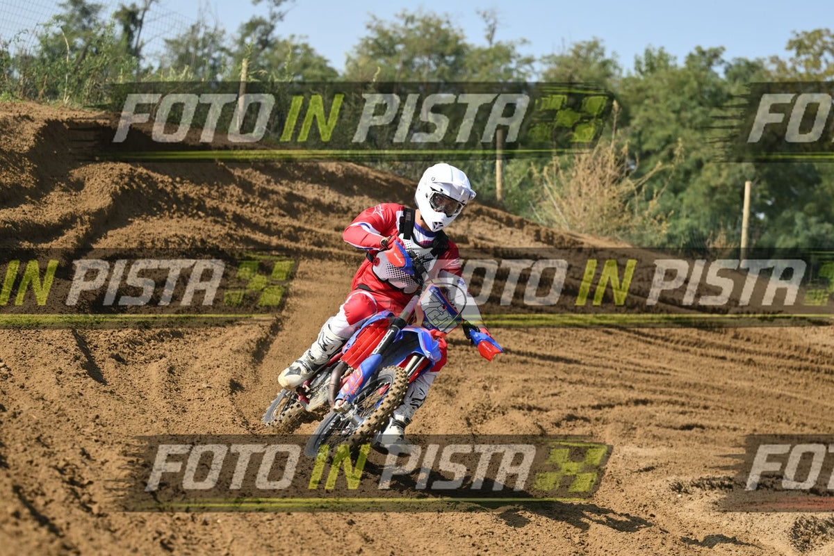 721 · DSH_2998