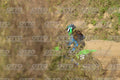 YOUNG 137 · DSH_3025