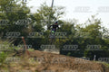 KX  450 · DSH_3068