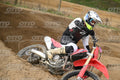 00 HONDA CRF · DSH_3086