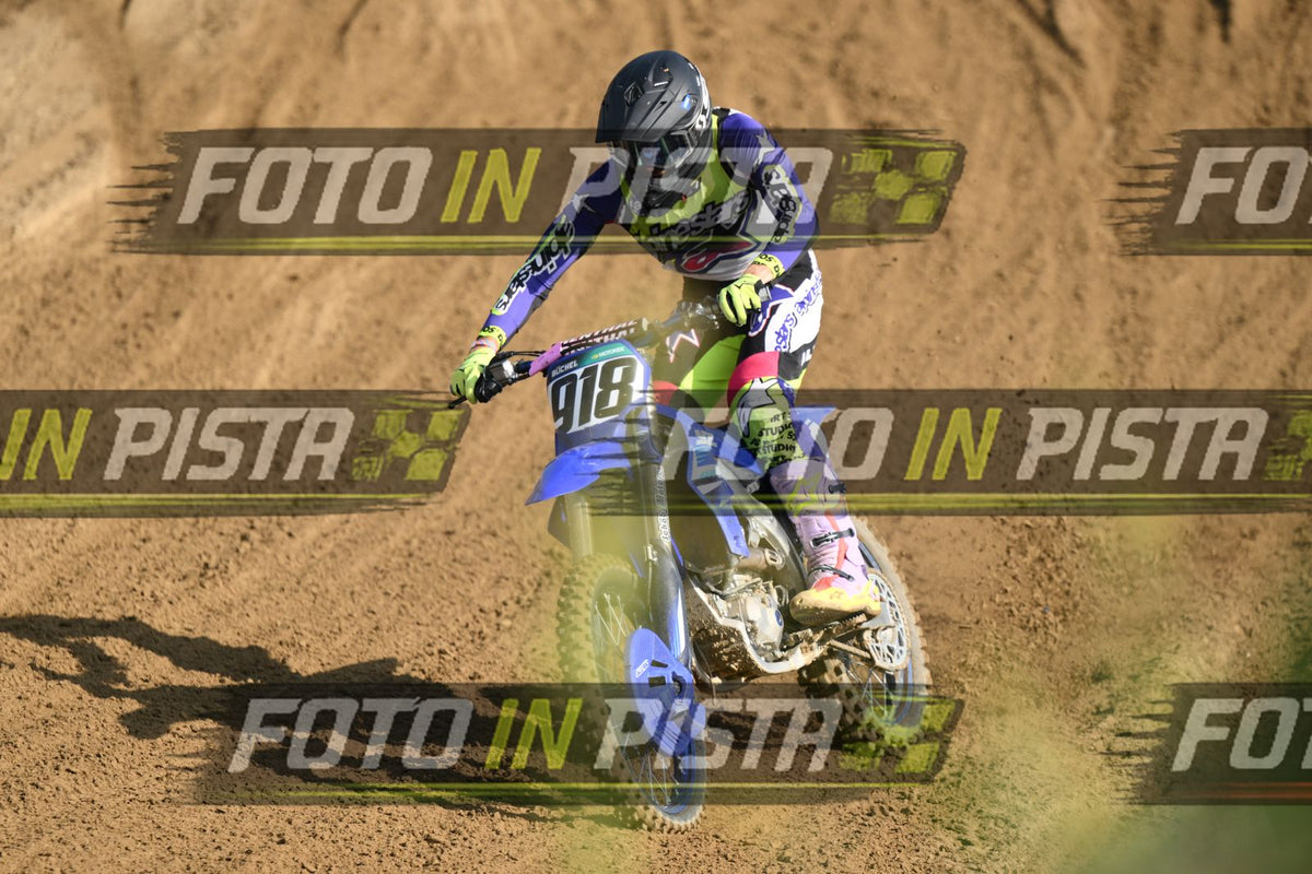 918 · DSH_3091