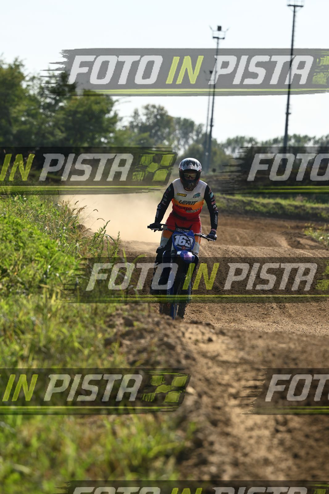 163 · DSH_3096