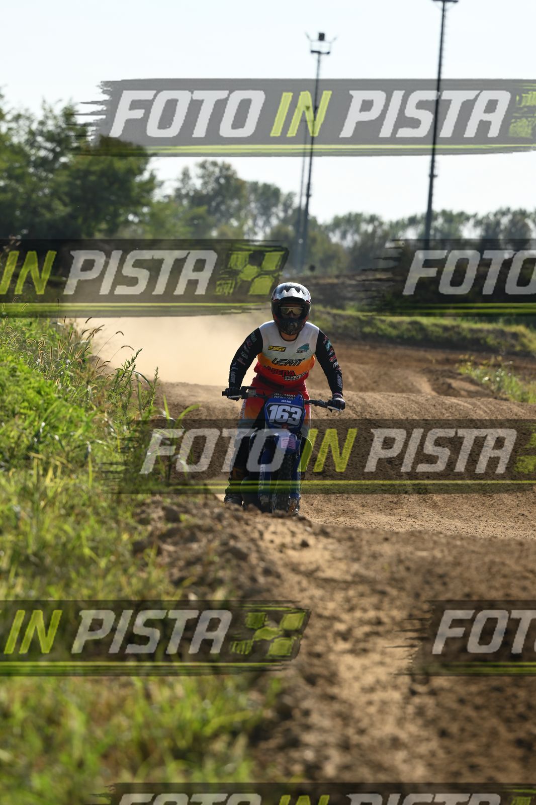 163 · DSH_3097