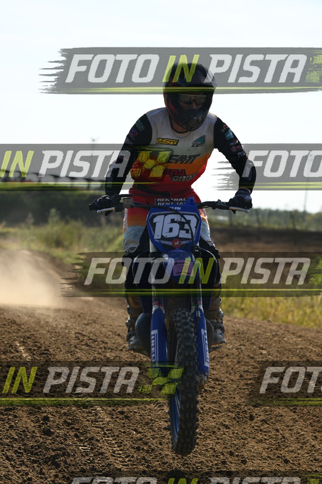 163 · DSH_3102