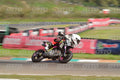 313 · DSH_3106