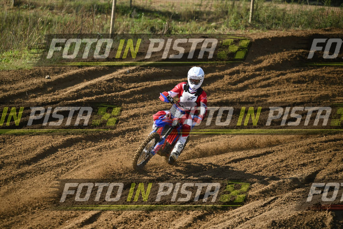 721 · DSH_3111