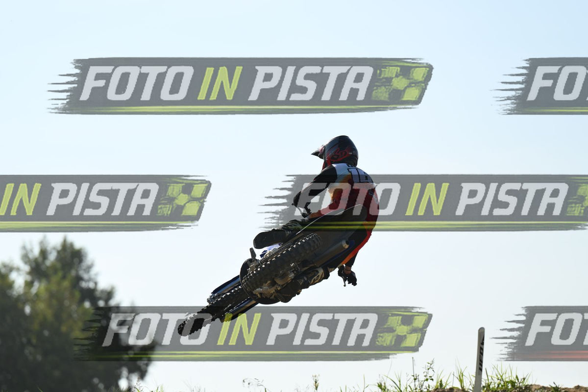 163 · DSH_3111