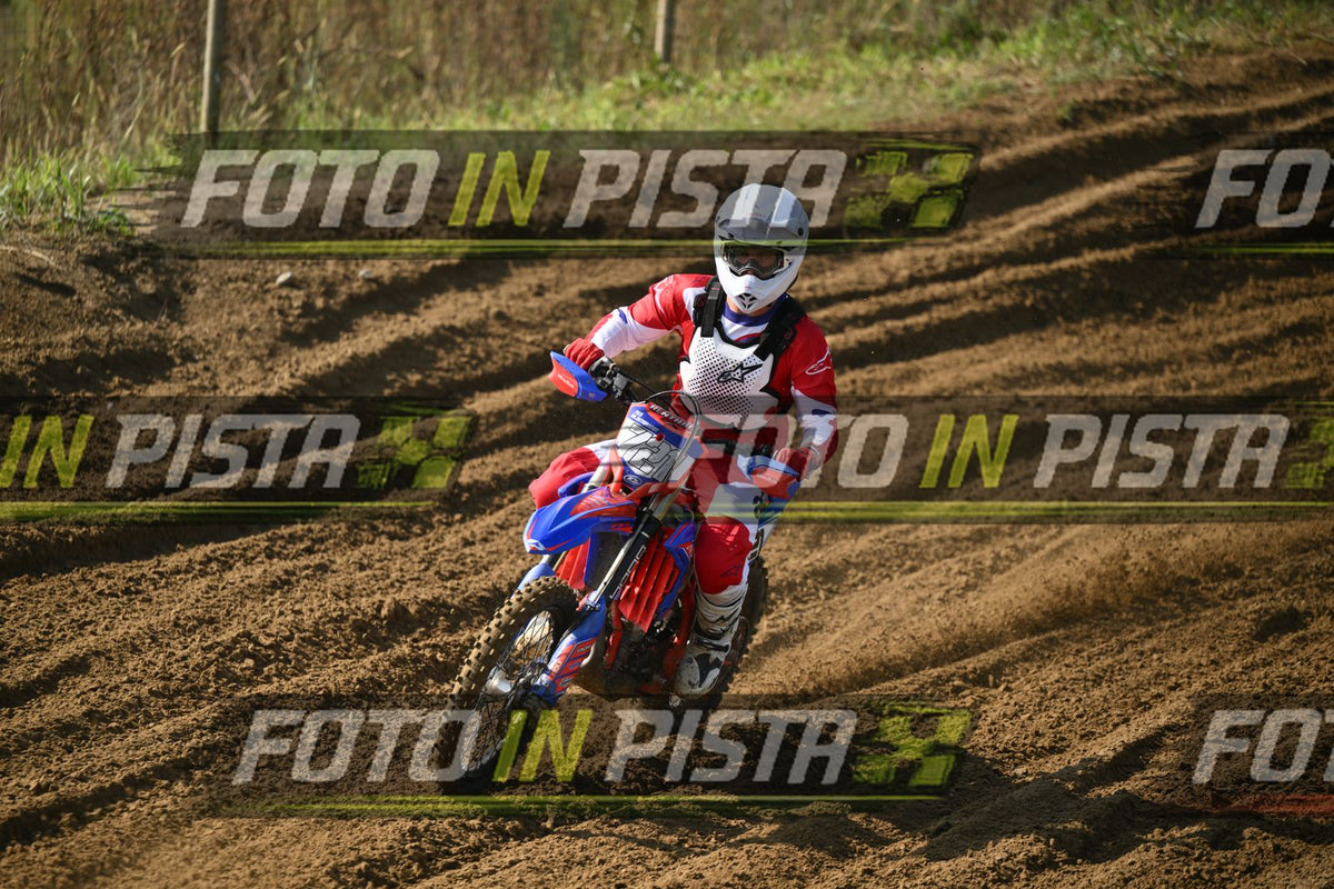 721 · DSH_3113