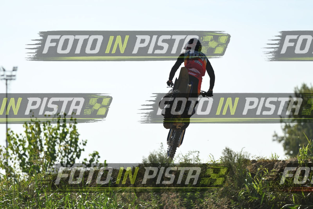 163 · DSH_3117