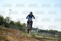 71 · DSH_3122