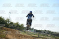 71 · DSH_3123