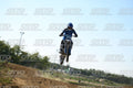 71 · DSH_3124