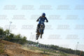 71 · DSH_3125