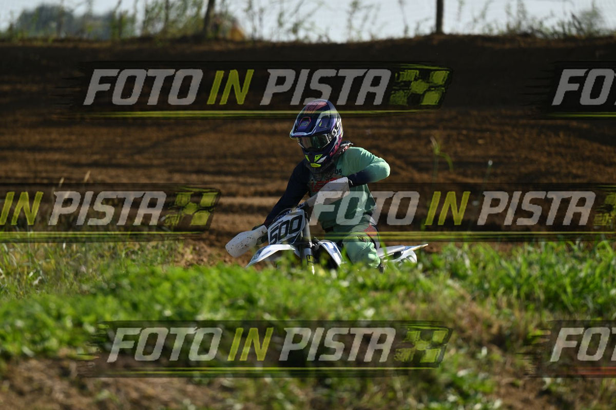 500 · DSH_3126