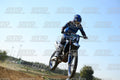 71 · DSH_3131