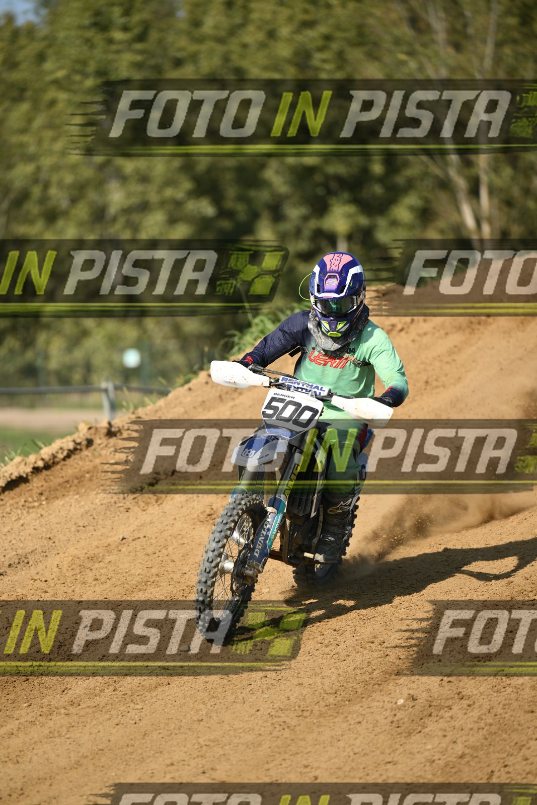 500 · DSH_3136