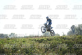 71 · DSH_3141