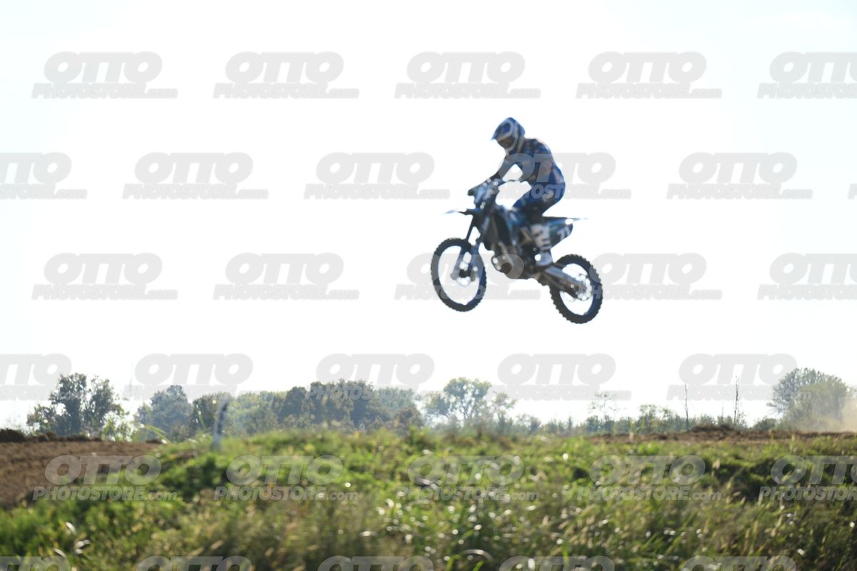 71 · DSH_3145
