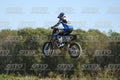 71 · DSH_3164