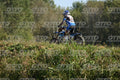 71 · DSH_3168