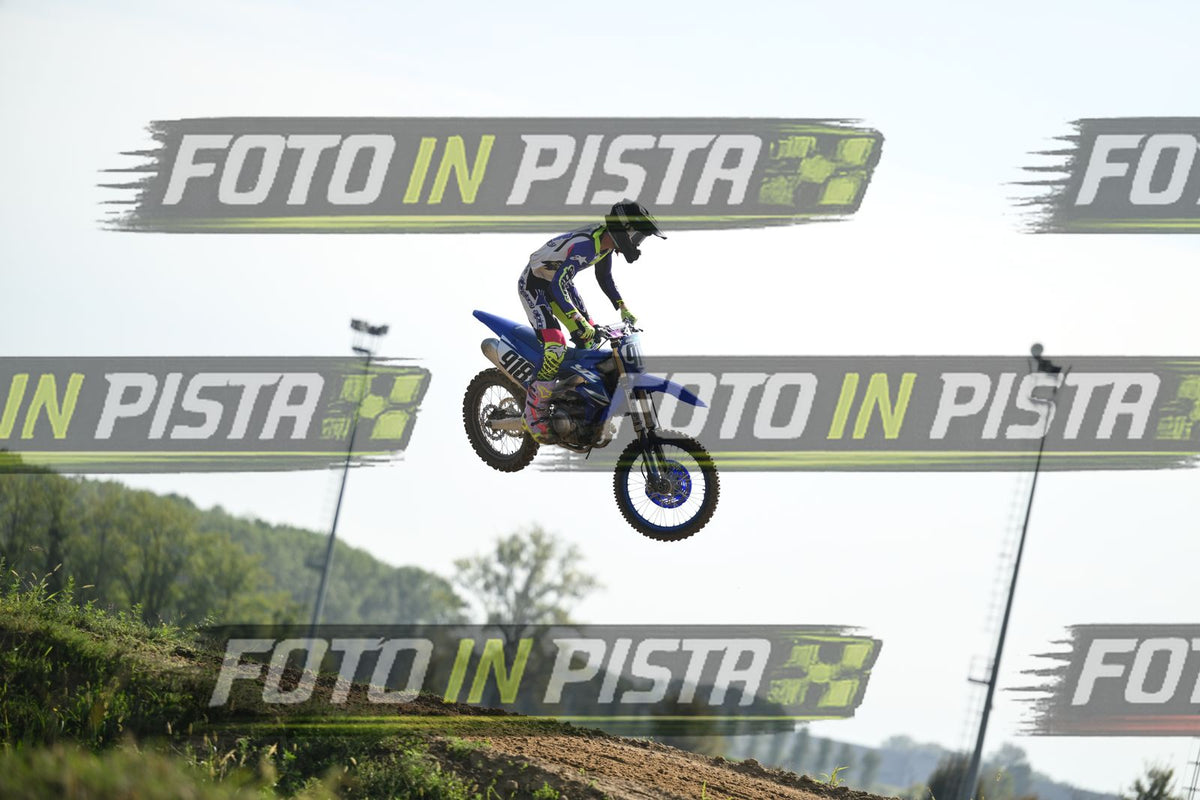918 · DSH_3169