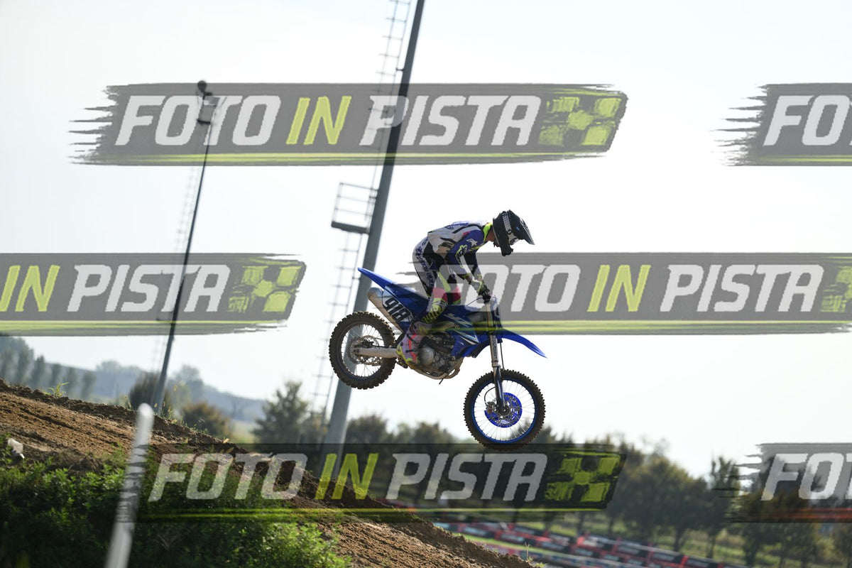 918 · DSH_3173