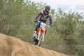 717 · DSH_3175