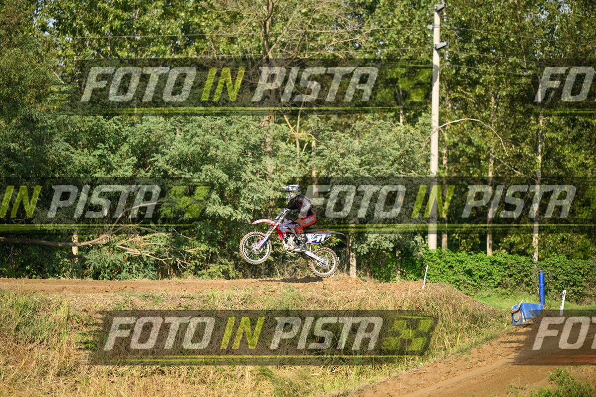 11 · DSH_3228