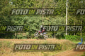 11 · DSH_3229