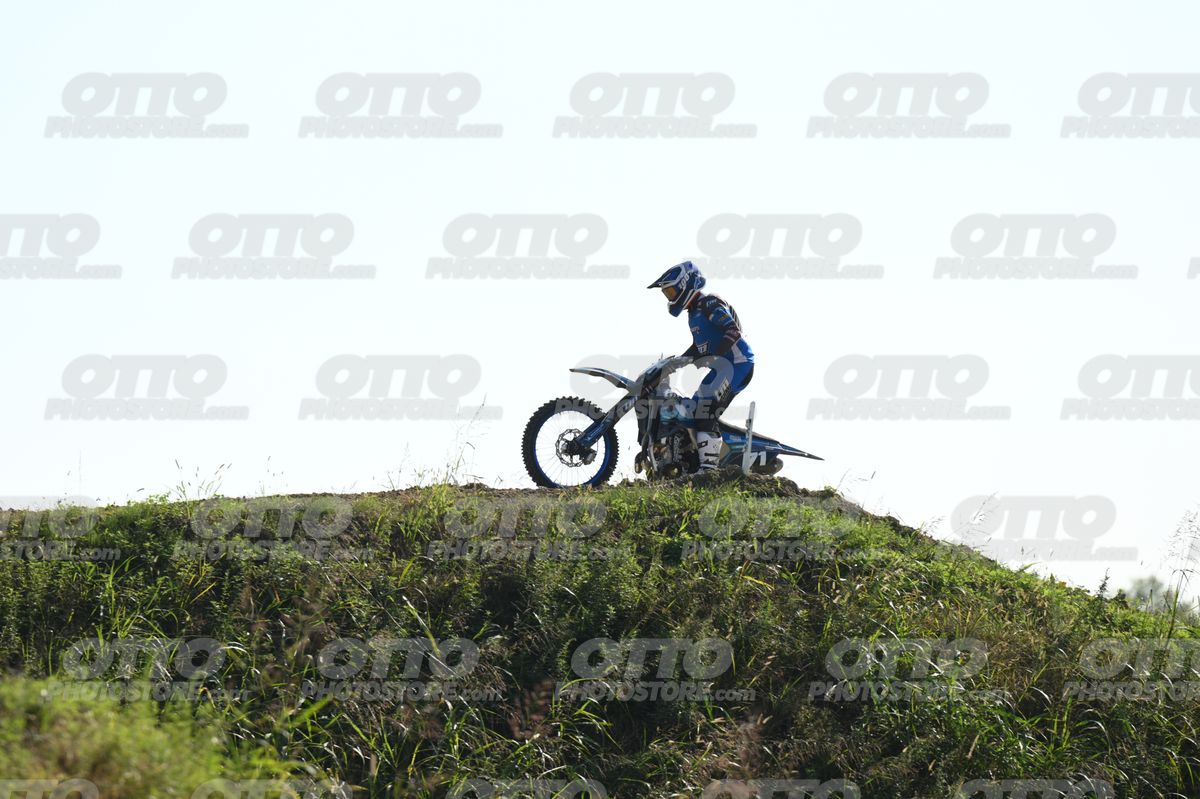 71 · DSH_3229