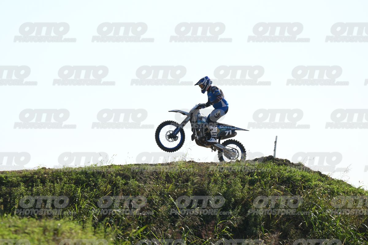 71 · DSH_3230