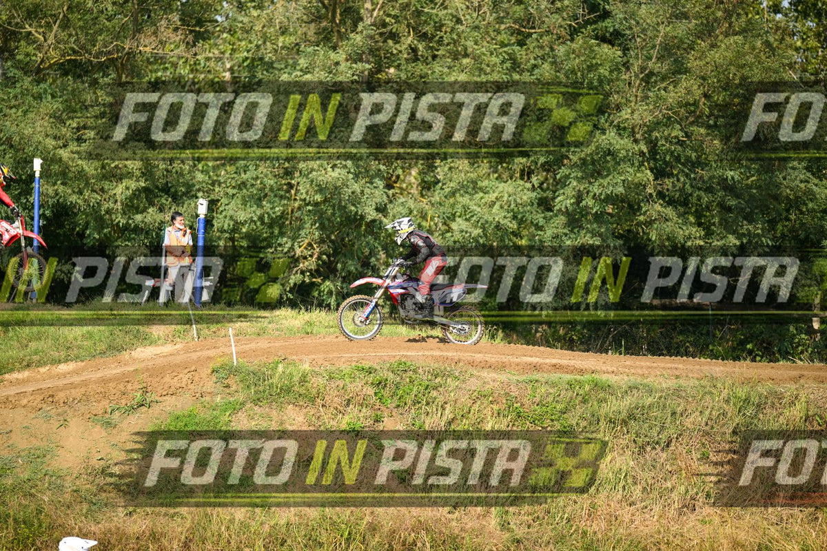 11 · DSH_3232