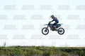 71 · DSH_3235