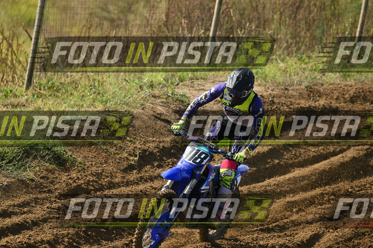918 · DSH_3295
