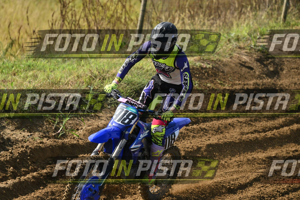 918 · DSH_3296