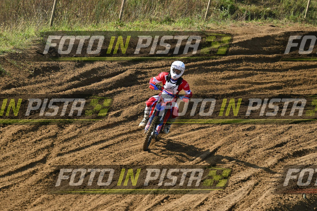 721 · DSH_3384