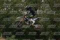 921 · DSH_3384
