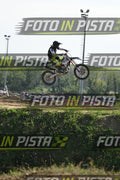 82 · DSH_3429